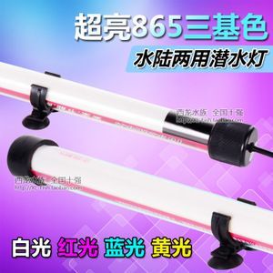 龍魚(yú)燈（如何根據(jù)龍魚(yú)品牌選燈）