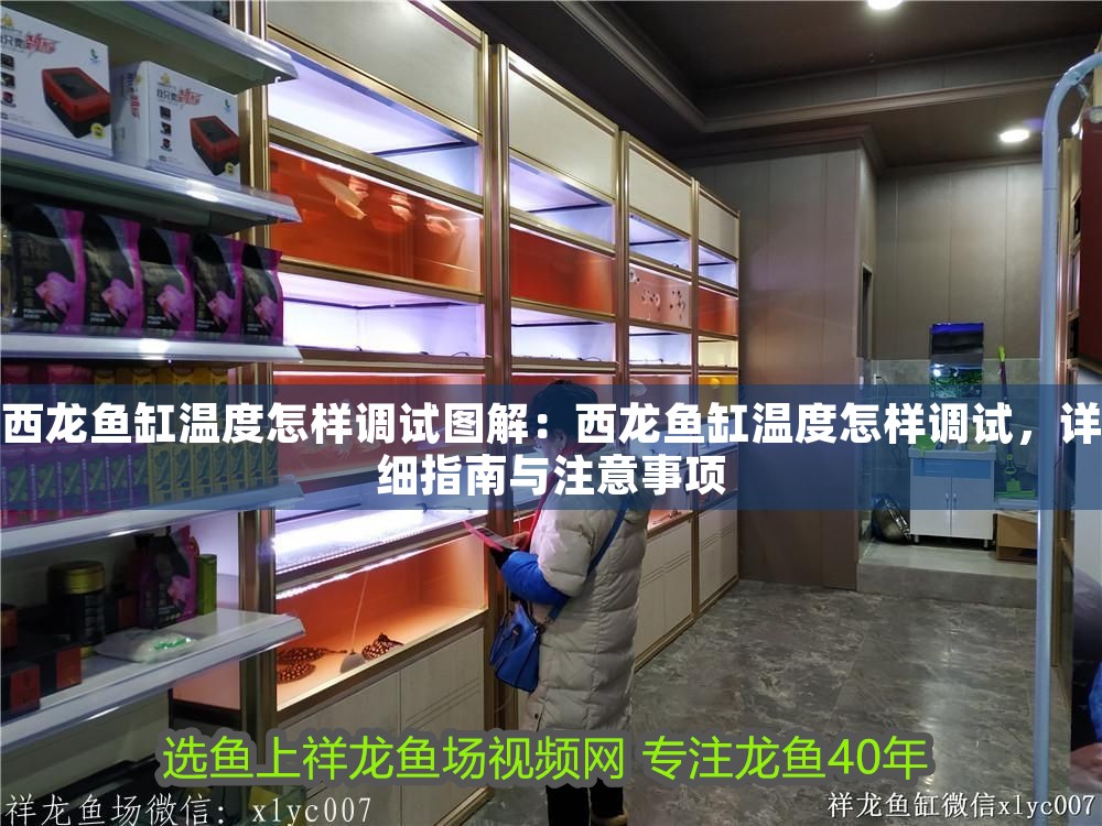 西龍魚(yú)缸溫度怎樣調(diào)試圖解：西龍魚(yú)缸溫度怎樣調(diào)試，詳細(xì)指南與注意事項(xiàng)