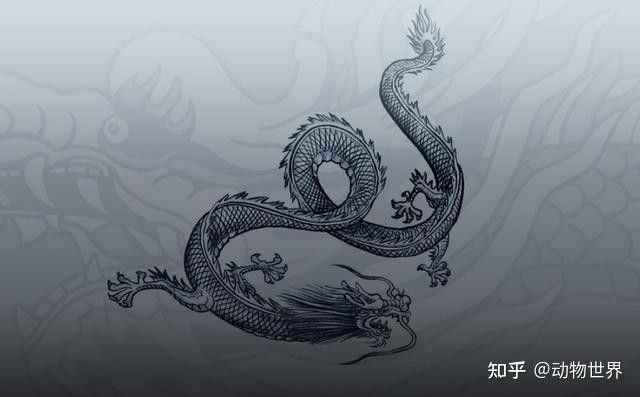 母龍吞食公龍后會有哪些變化？