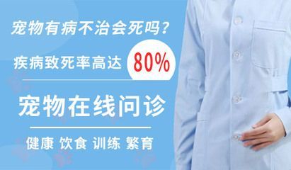 巴卡雷龍魚(yú)繁殖環(huán)境布置技巧：巴卡雷龍魚(yú)的繁殖環(huán)境布置是確保它們成功繁衍的關(guān)鍵