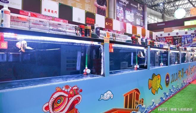 盤古杯世界龍魚錦標賽（“盤古杯世界龍魚錦標賽”是一項與龍魚相關的賽事）