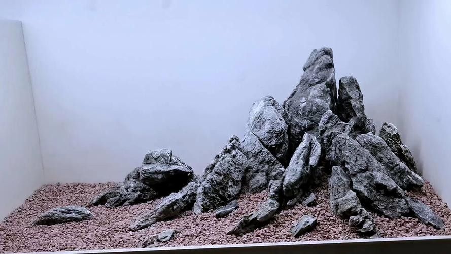 龍魚缸造景圖片大全 生態板