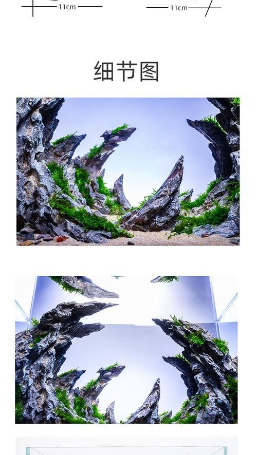 龍魚缸造景圖片大全 生態板