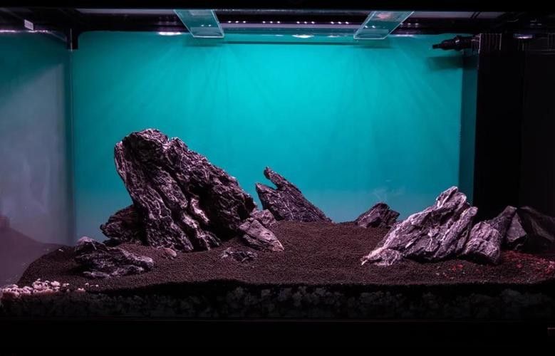 龍魚缸造景圖片大全 生態板