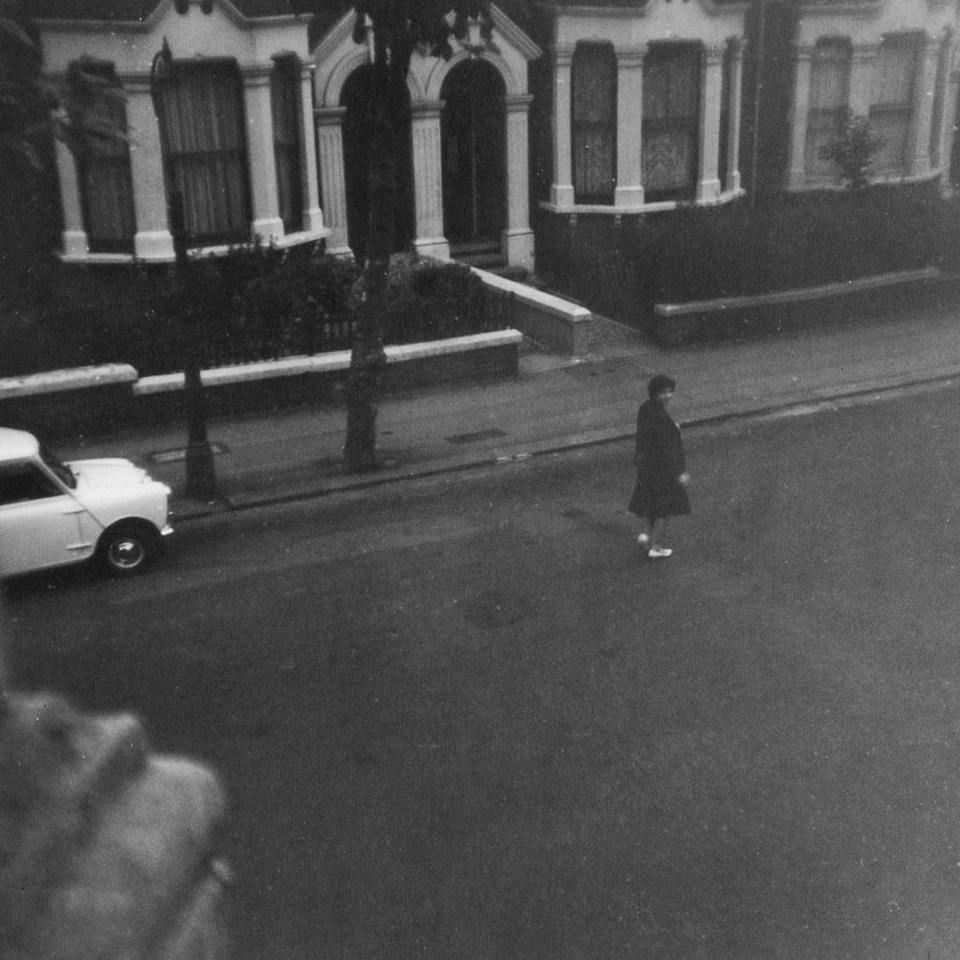 金魚水霉病的治療方法