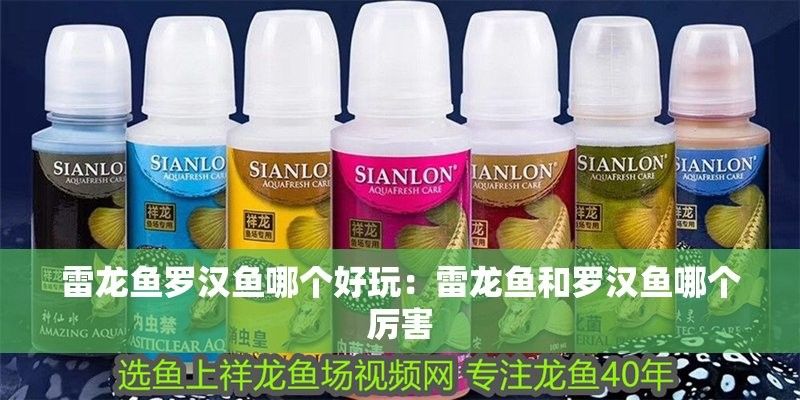 雷龍魚和羅漢魚哪個厲害點