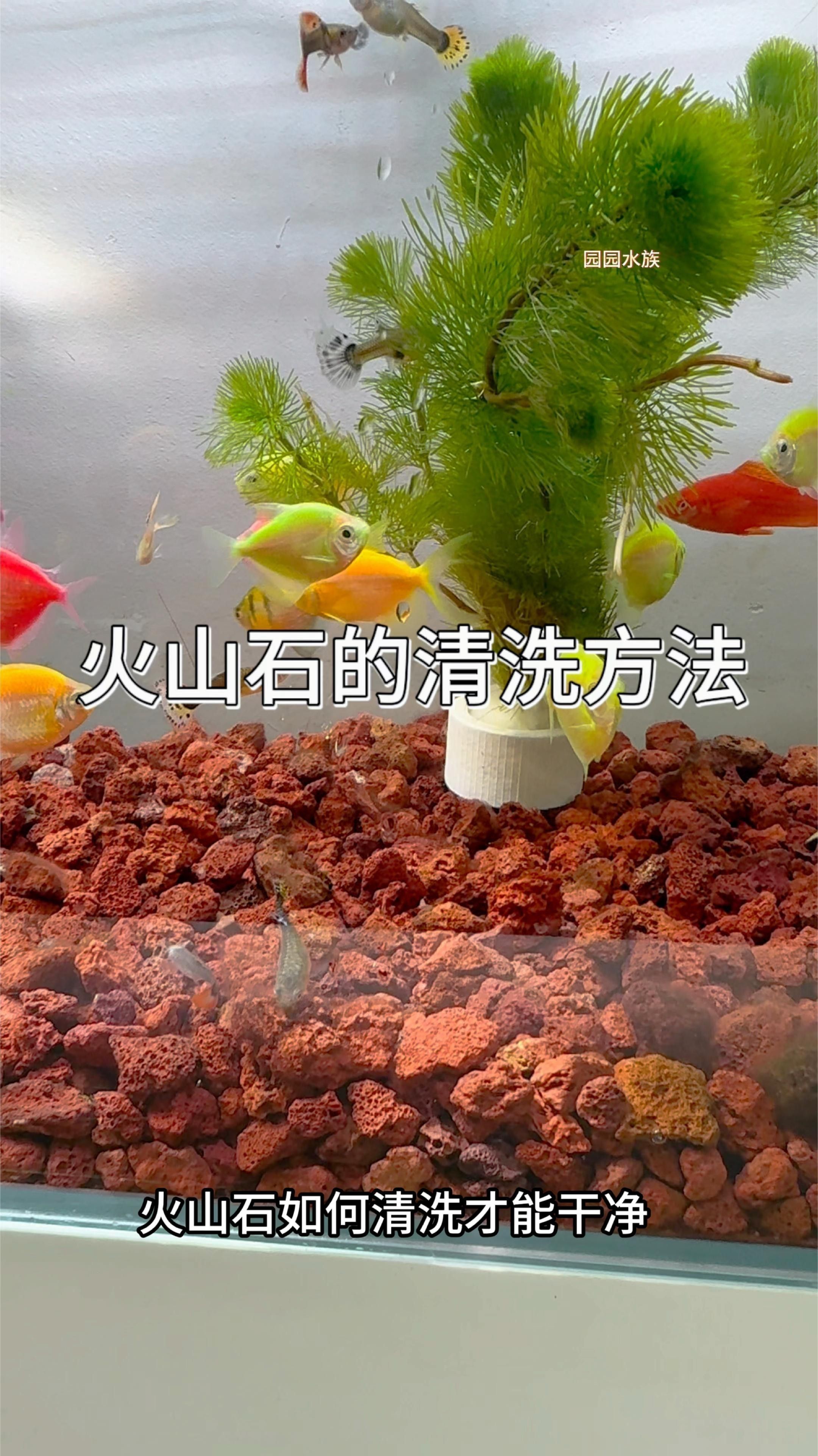 火山石如何預處理？