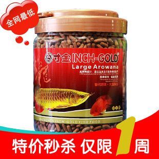 紅龍魚喂什么好看又好養：紅龍魚喂什么好看又好養紅龍魚喂什么好看又好養