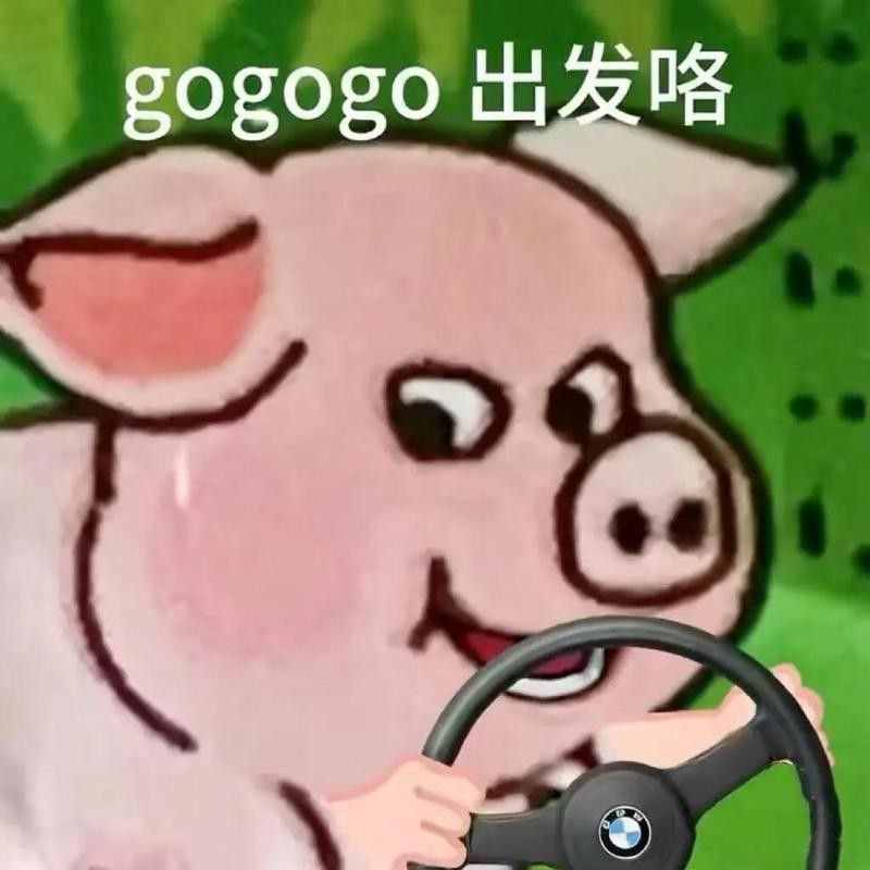還有哪些類似銀龍魚的梗？