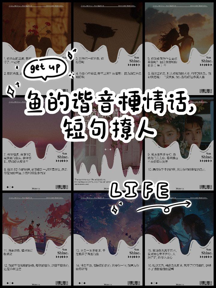 還有哪些類似銀龍魚的梗？
