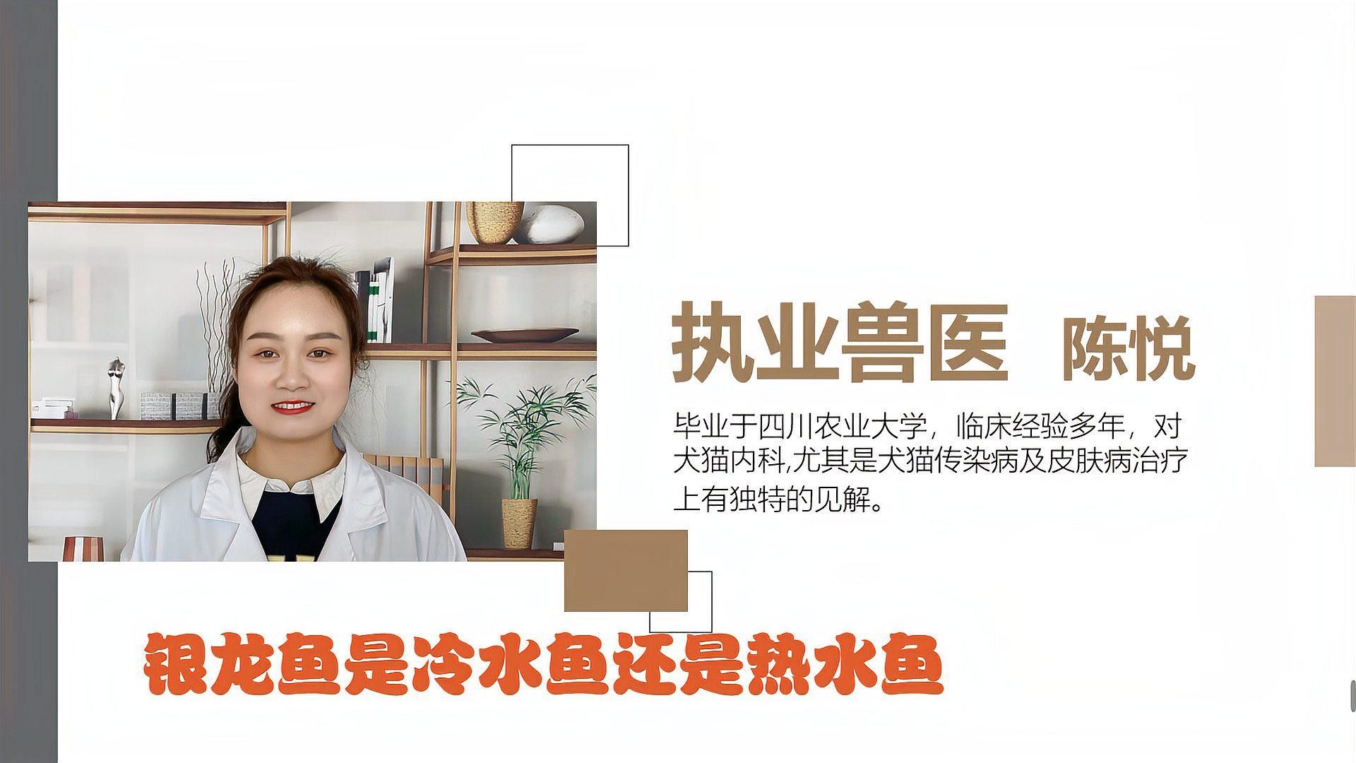 銀龍魚在冷水缸會死嗎