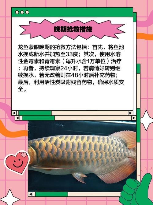 龍魚蒙眼能自愈嗎圖片大全