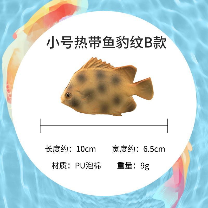 金龍魚翹嘴修理：\"金龍魚翹嘴修理\"