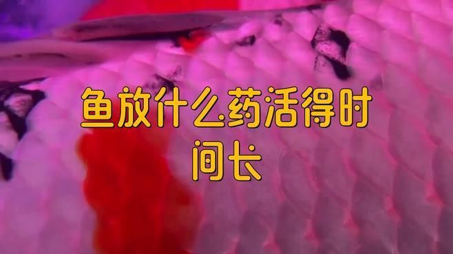 哪些藥物對魚無害