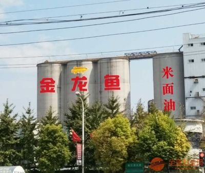 金龍魚適合什么燈（如何選擇金龍魚led燈）