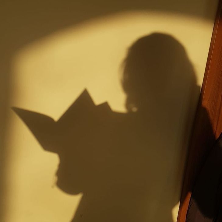 風(fēng)水上對(duì)自來貓的說法