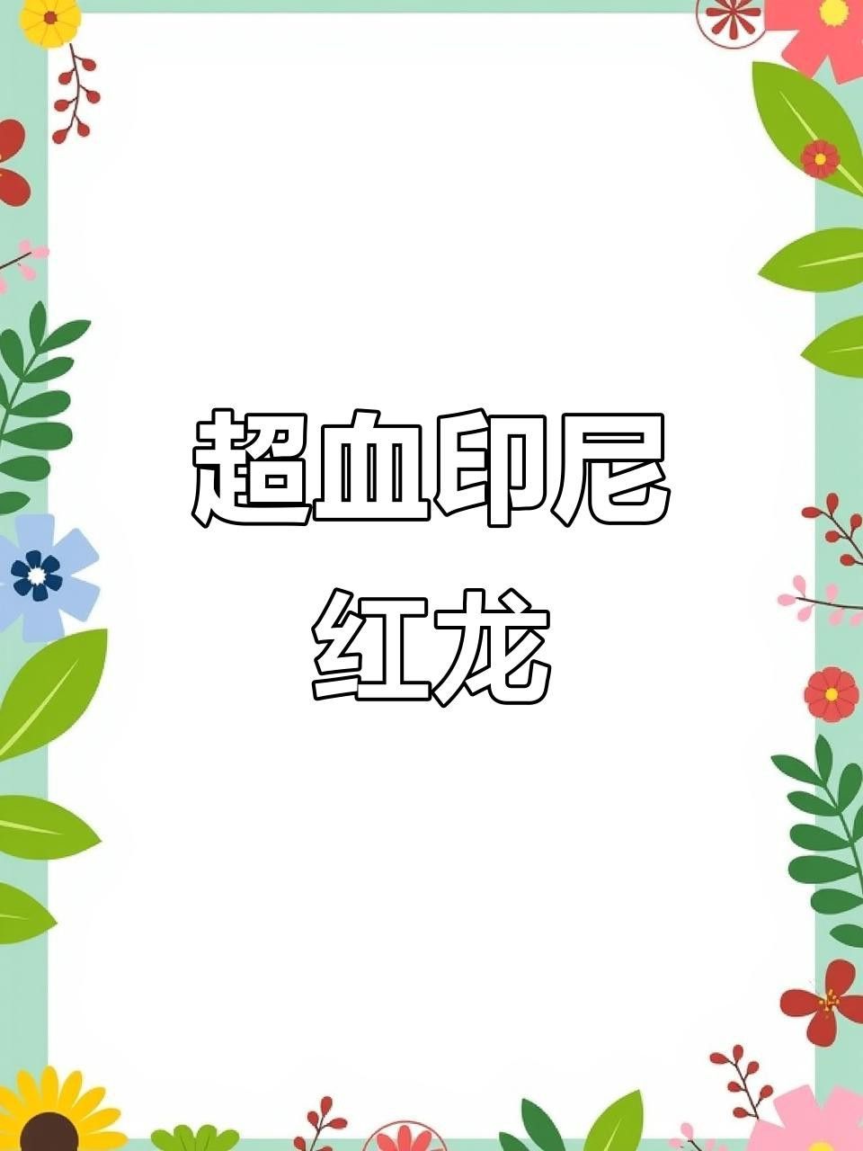 超血龍魚的價格是多少？