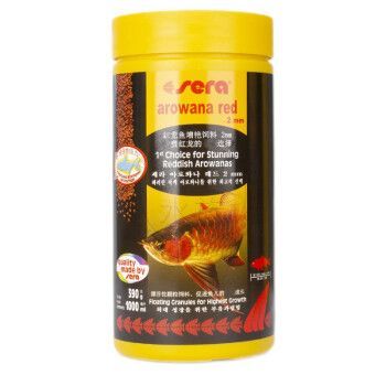 超血紅龍魚最佳飼料品牌，紅龍魚飼料選擇