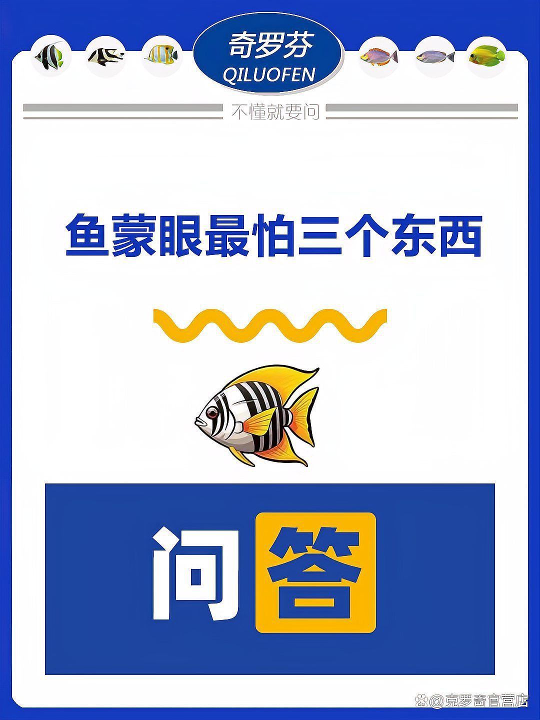 藍帆眼斑最怕三個東西