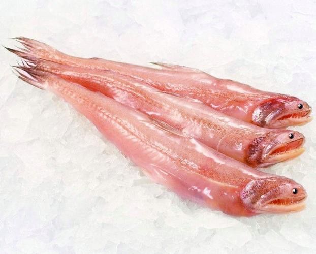 【青島龍魚價格青島龍魚圖片青島龍魚轉讓】