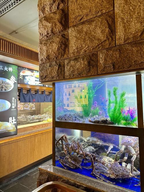 【青島龍魚價格青島龍魚圖片青島龍魚轉讓】