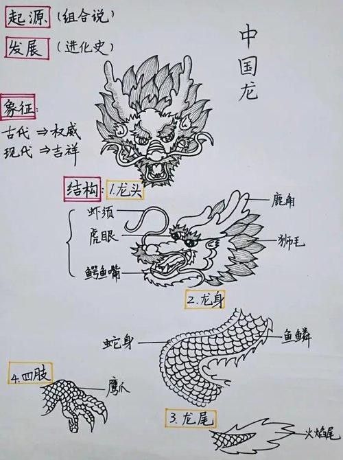 龍魚品相鑒別圖解
