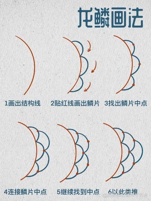 龍魚品相鑒別圖解