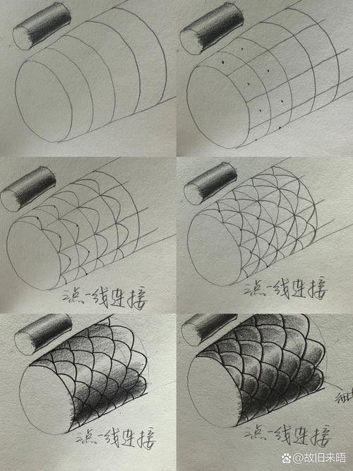 龍魚品相鑒別圖解
