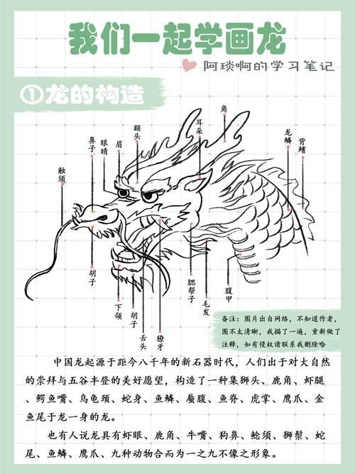 龍魚品相鑒別圖解