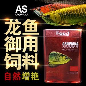 金龍魚高端熱帶魚品牌：熱帶魚金龍魚高端品牌的高端特性，金龍魚品牌的高端特性
