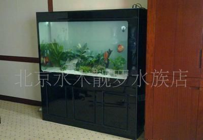 龍魚黑金剛一條多少錢一包：龍魚黑金剛一條多少錢一包龍魚黑金剛市場價(jià)值波動