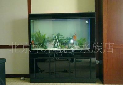龍魚黑金剛一條多少錢一包：龍魚黑金剛一條多少錢一包龍魚黑金剛市場價(jià)值波動