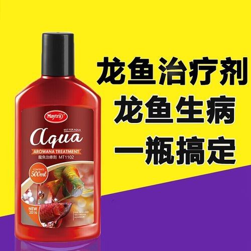 銀龍魚眼睛有白色絮狀物怎么辦圖片