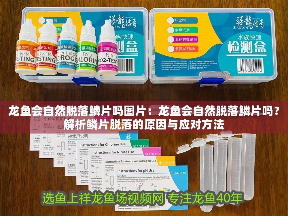 龍魚會自然脫落鱗片嗎圖片：龍魚會自然脫落鱗片嗎？解析鱗片脫落的原因與應對方法