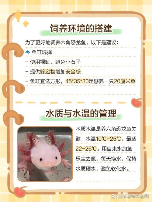 哪種恐龍魚最好養活圖片