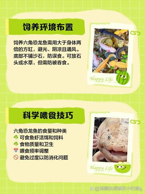 哪種恐龍魚最好養活圖片