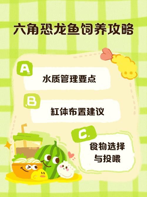 哪種恐龍魚最好養活圖片