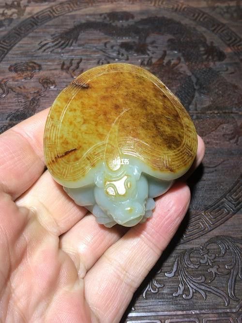 龍魚飼料十大品牌：龍魚飼料十大品牌介紹