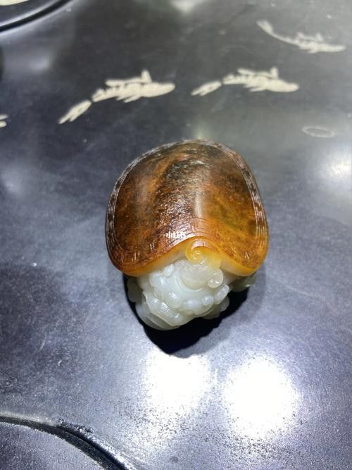 龍魚飼料十大品牌：龍魚飼料十大品牌介紹