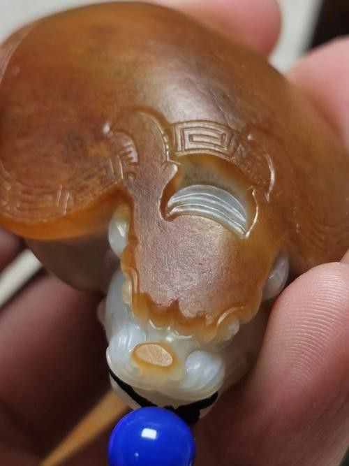 龍魚飼料十大品牌：龍魚飼料十大品牌介紹