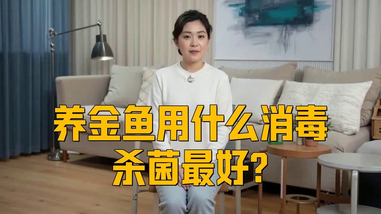 如何給黑龍睛金魚消毒？