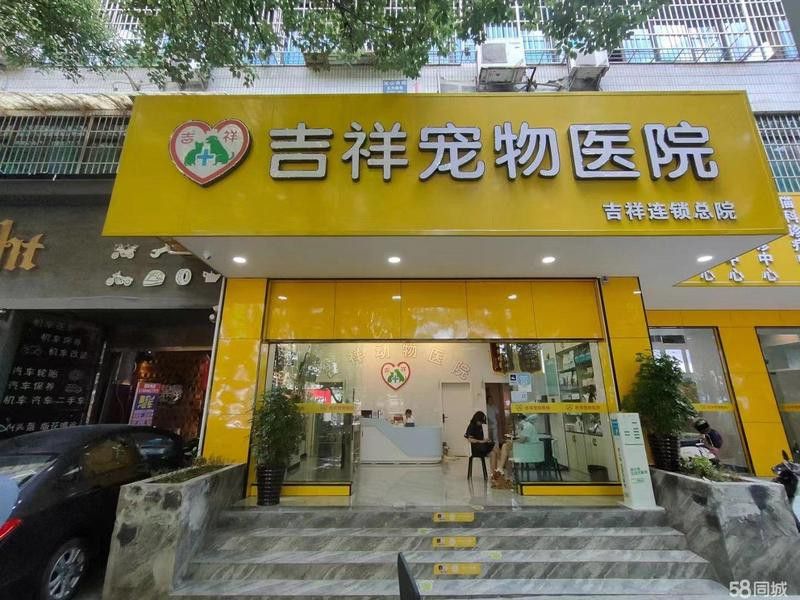 貴陽龍魚治療機構怎么樣呀