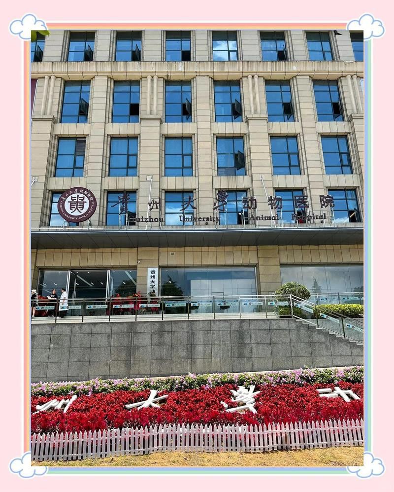 貴陽龍魚治療機構怎么樣呀