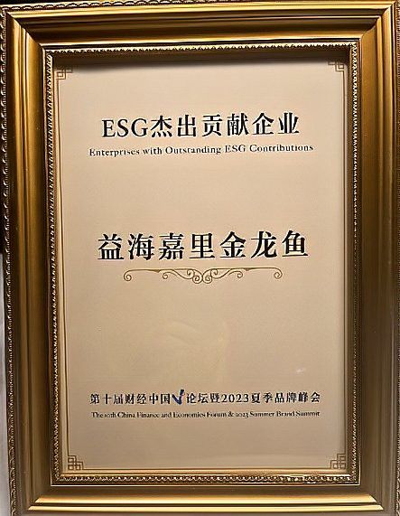 金龍魚視頻創作者中誰最專業？