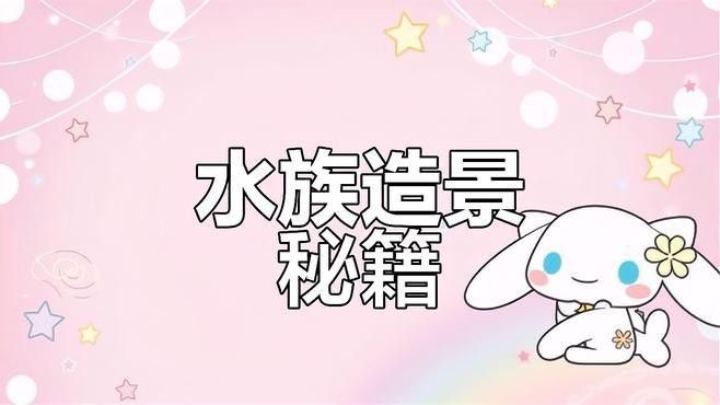 60寬魚缸適合混養(yǎng)哪些魚類？