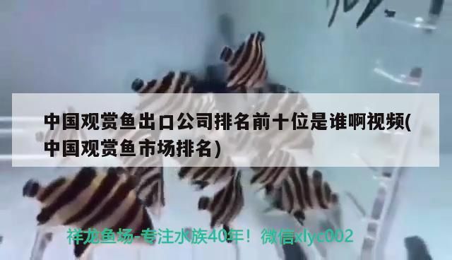 黃水魚缸拿什么燈最好養活（什么魚飼料不黃水）