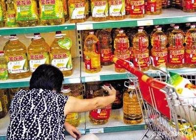金龍魚為何那么貴？價值所在的品種是什么：金龍魚為何那么貴