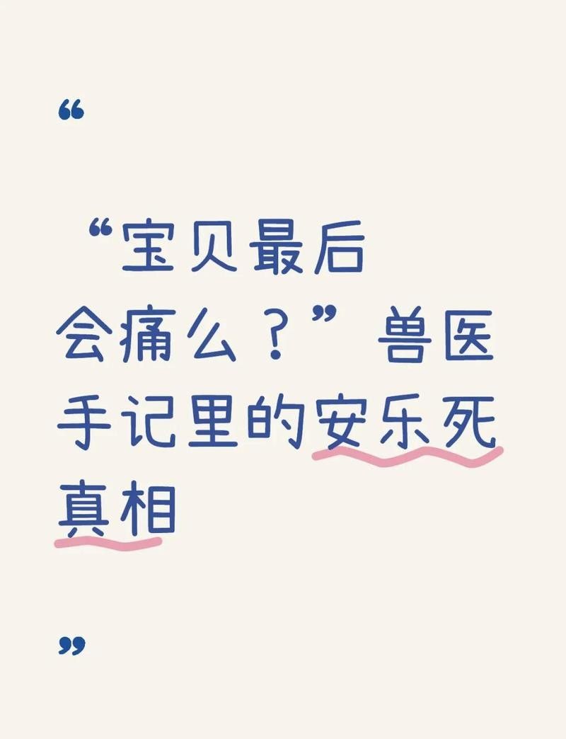 龍魚安樂死如何操作？