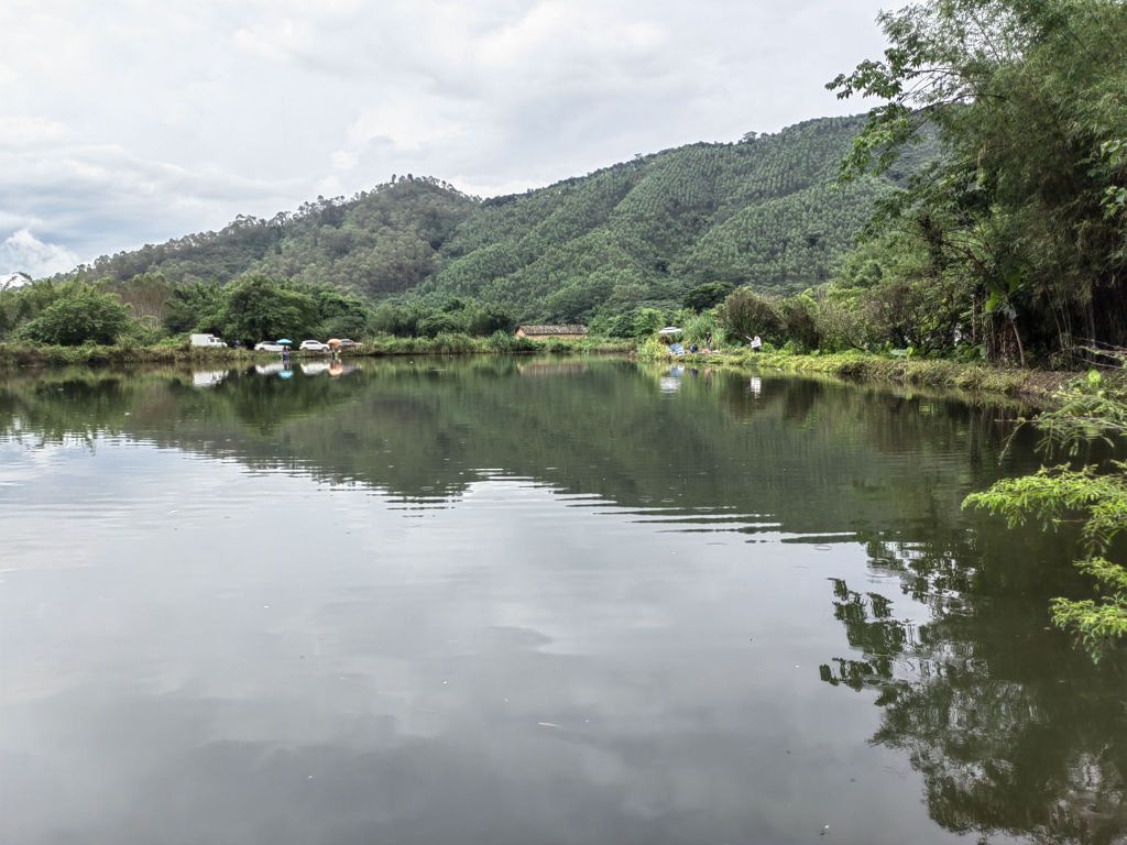 廣東雷龍魚哪里有的抓啊 廣東雷龍魚哪里有的抓啊 龍魚百科 第1張
