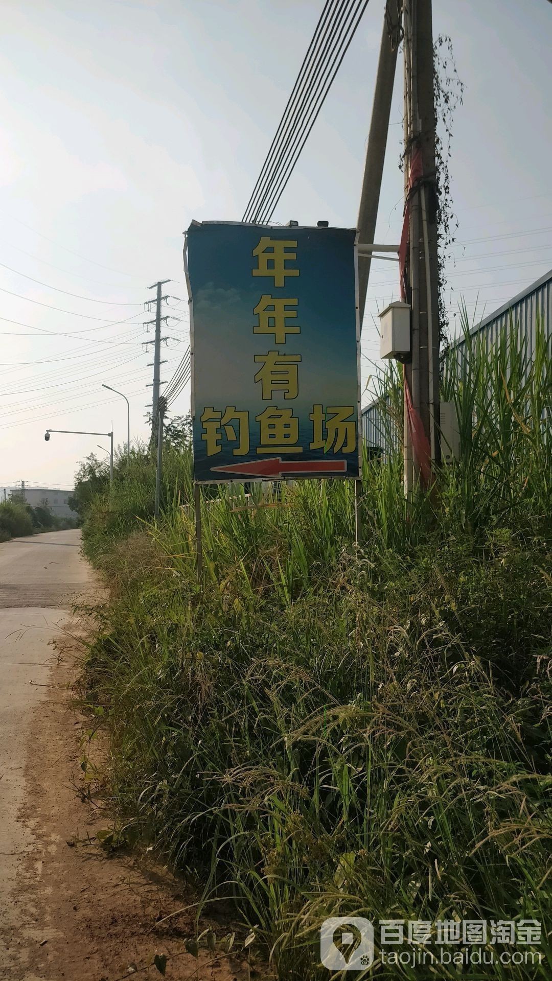 廣東雷龍魚哪里有的抓啊 廣東雷龍魚哪里有的抓啊 龍魚百科 第2張